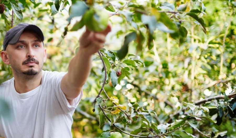 Arnaud Montebourg présente les avantages de la Compagnie des Amandes