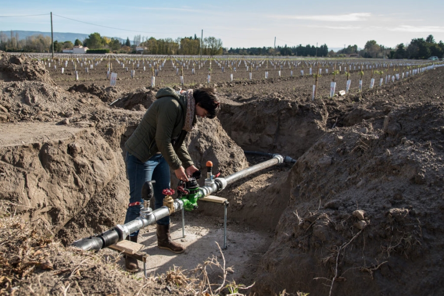 De l’eau pour les amandiers ?