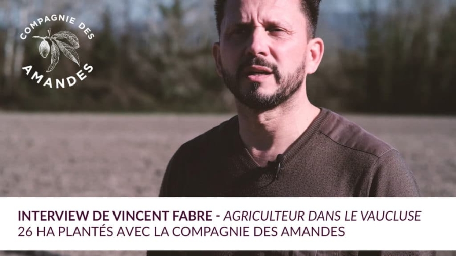 Découvrez l'interview de Vincent Fabre, agriculteur partenaire de la Compagnie des Amandes