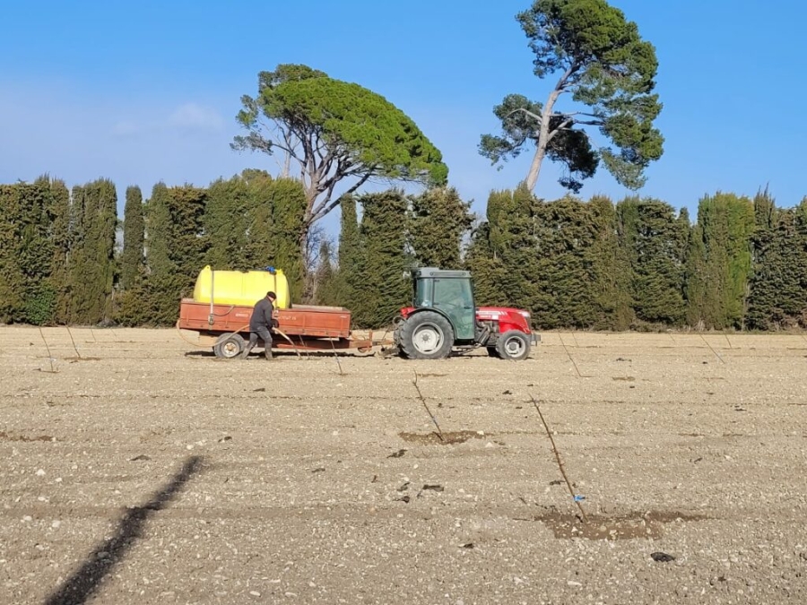 La Compagnie des Amandes lance trois nouveaux vergers dans le Sud et poursuit sa dynamique de créati