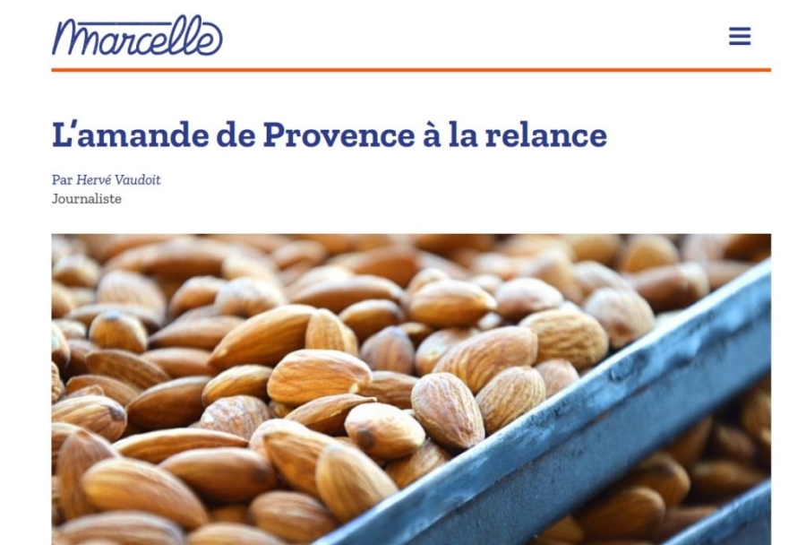 L’amande de provence à la relance dans « Marcelle » mars 2021