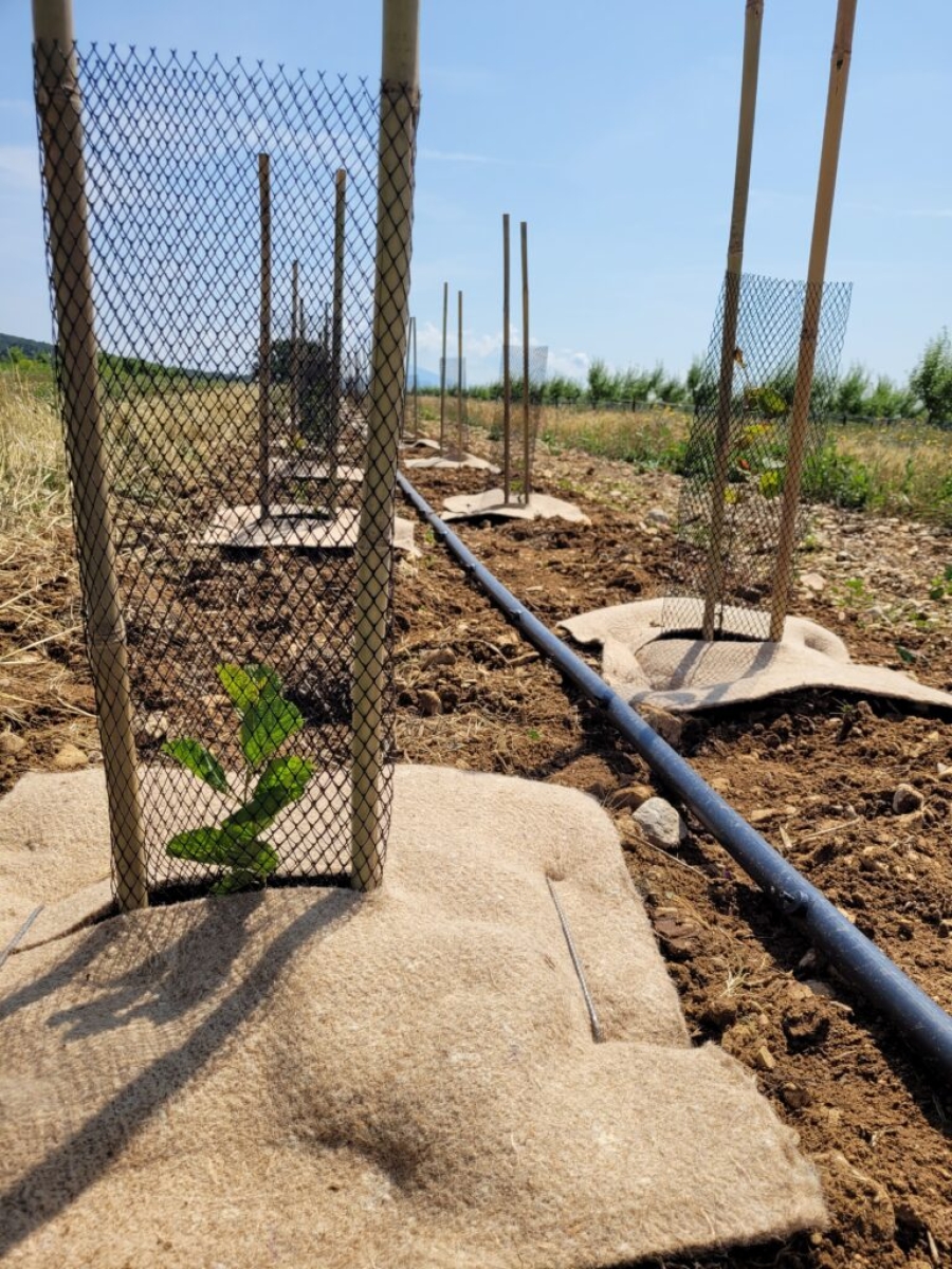 Le Guide des Infrastructures en faveur de la biodiversité