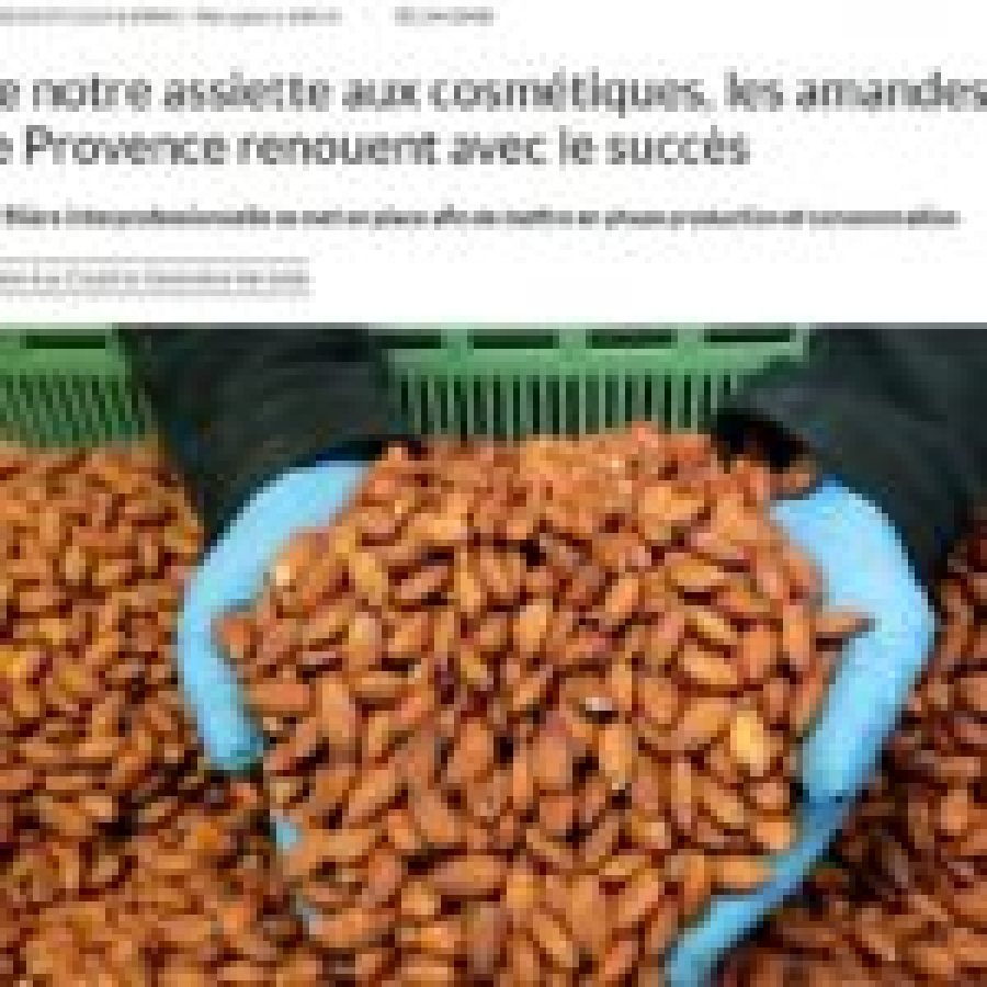 LES AMANDES DE PROVENCE RENOUENT AVEC LE SUCCES