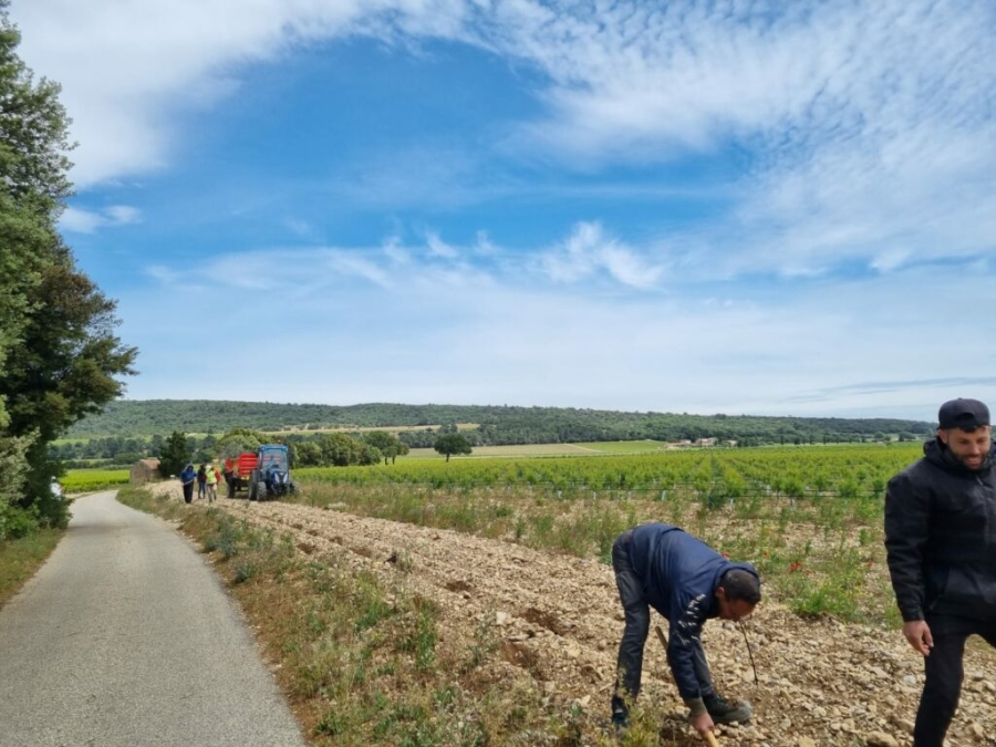 Plantation des haies coupe vent à la renjardière