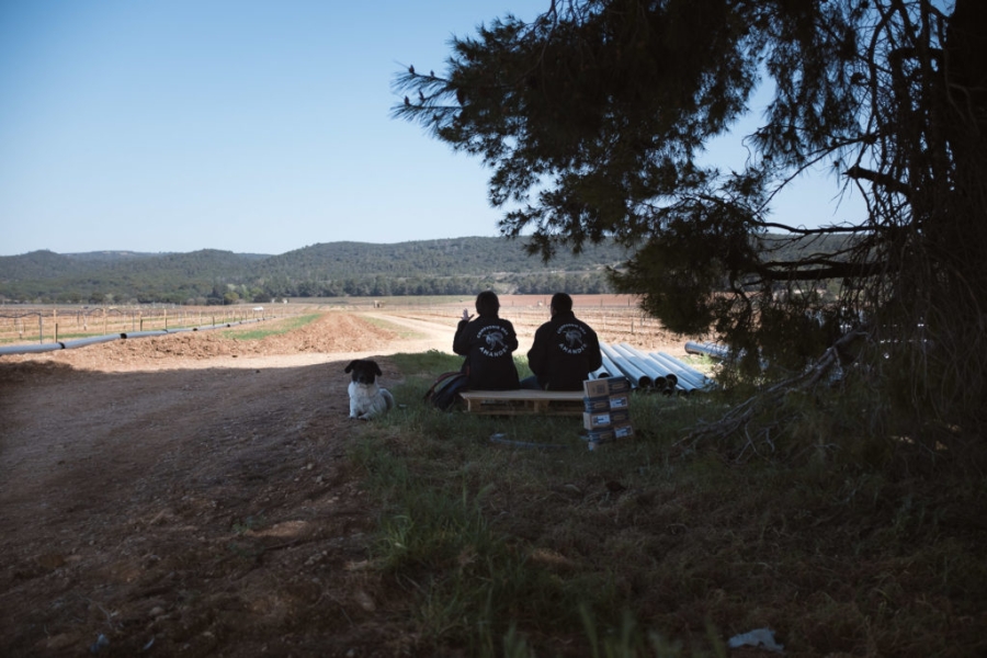 Plantation du plus grand verger d’amandier Français de manière agroécologique à Sérignan-du-Comtat