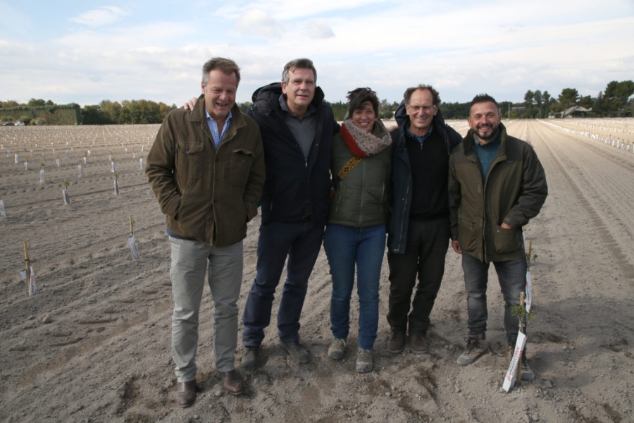 Première plantation de la Compagnie des Amandes à Pernes-les-Fontaines